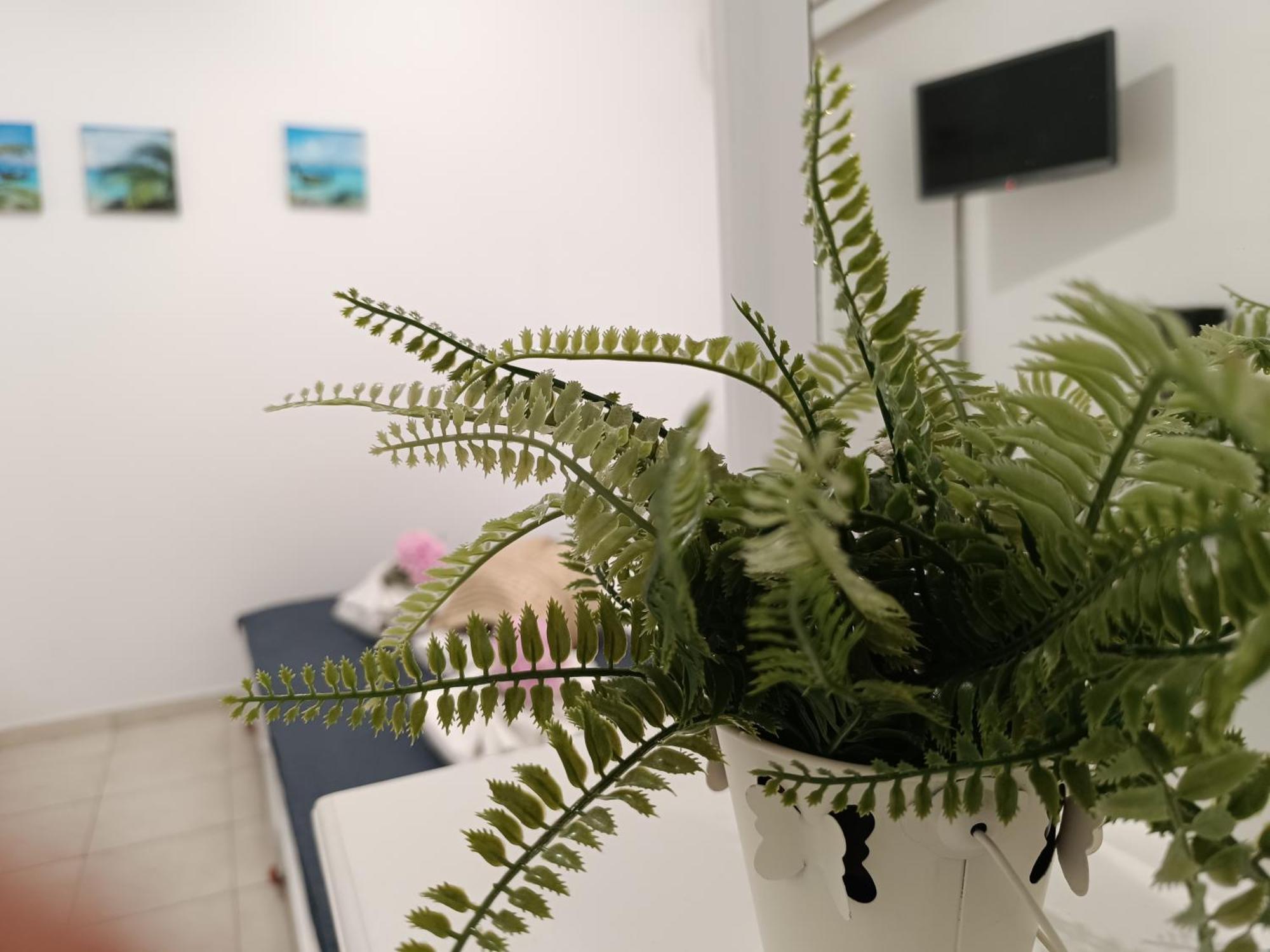 Apartament Nautilus & *